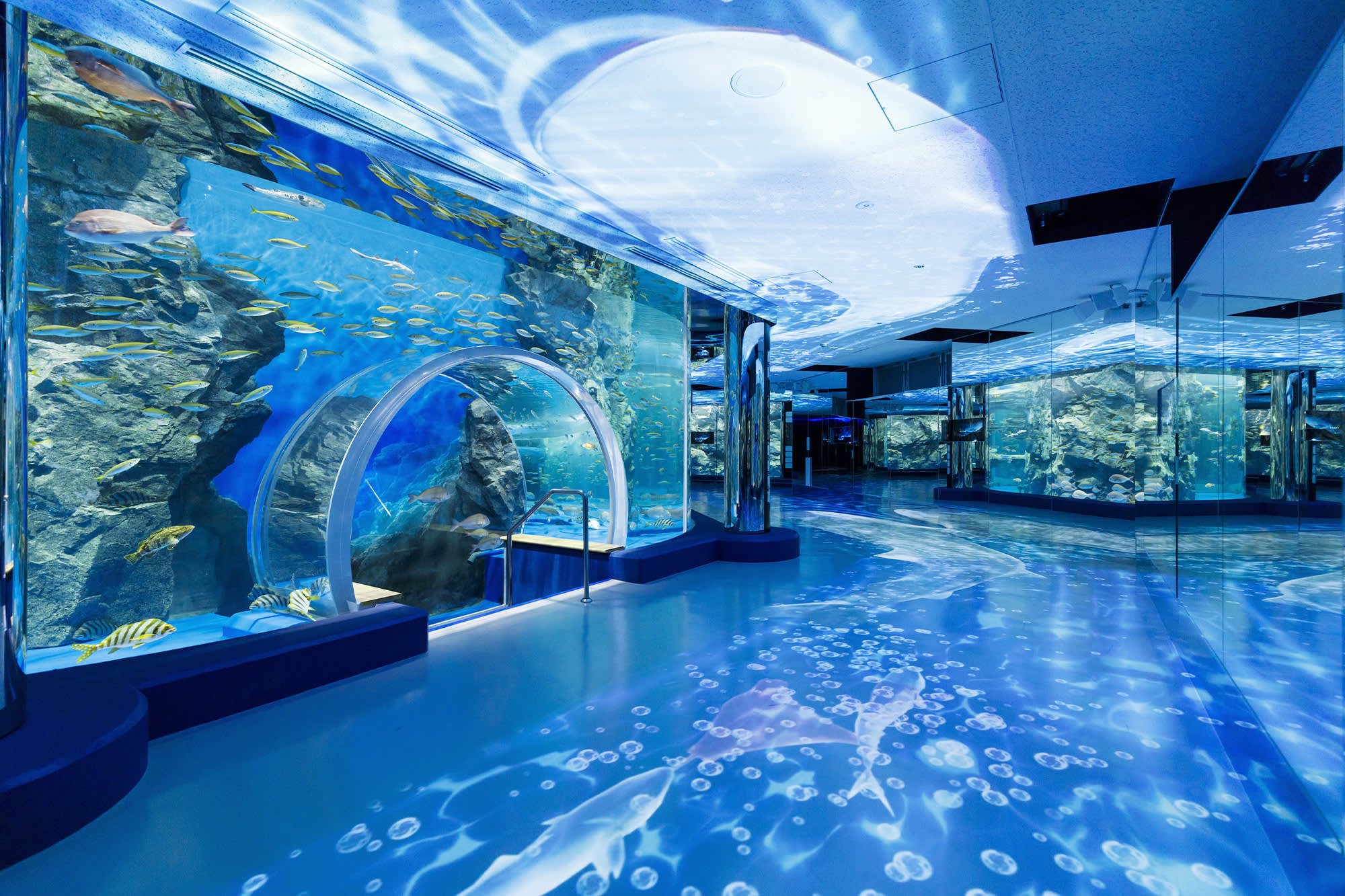 🐠 노토지마 수족관(노토지마 스이조쿠칸) 이미지 8